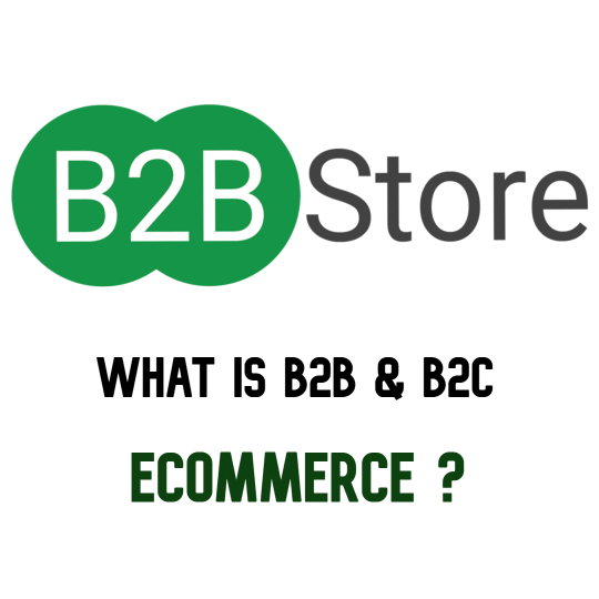 B2B Store WHAT IS eCOMMERCE?