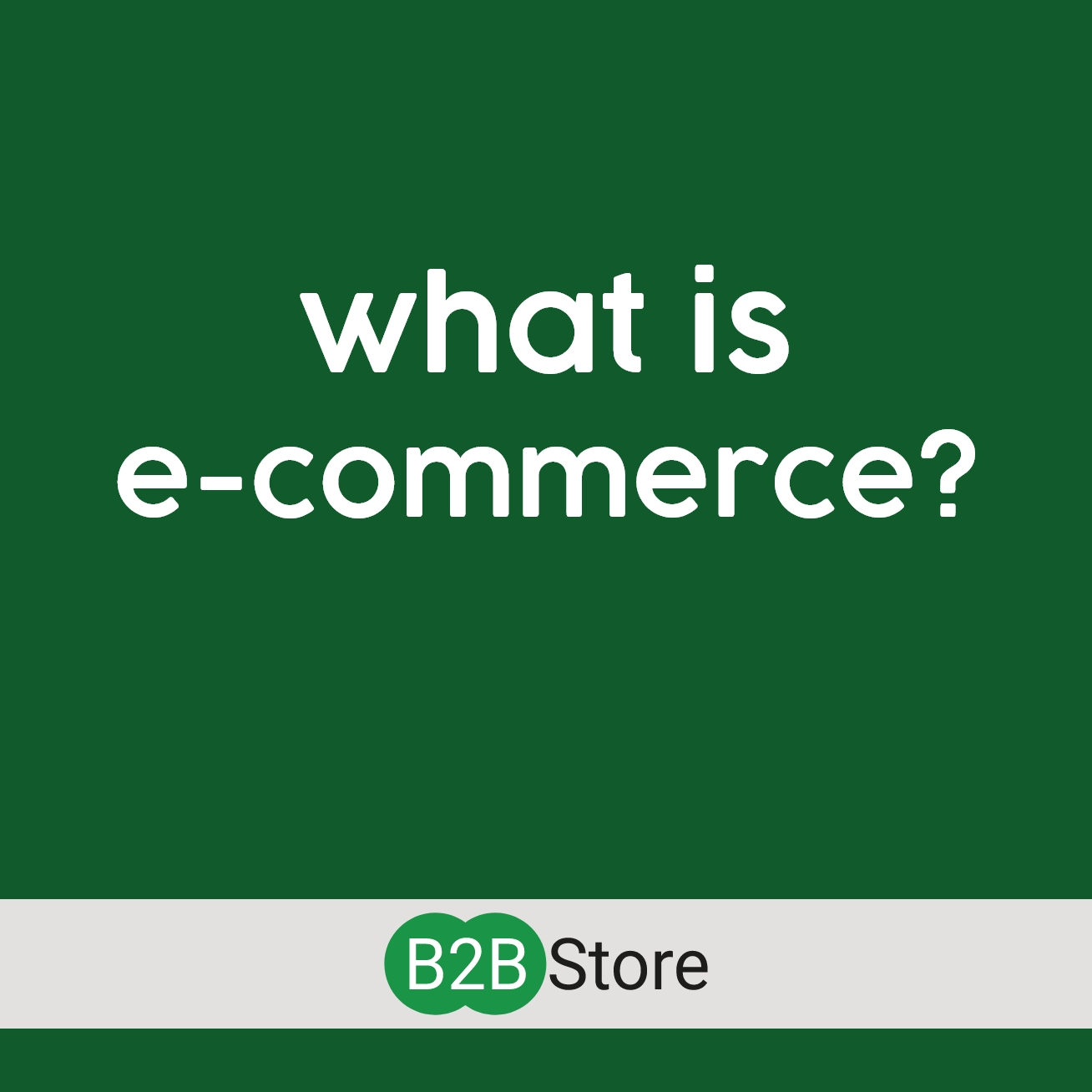 B2B Store WHAT IS eCOMMERCE?