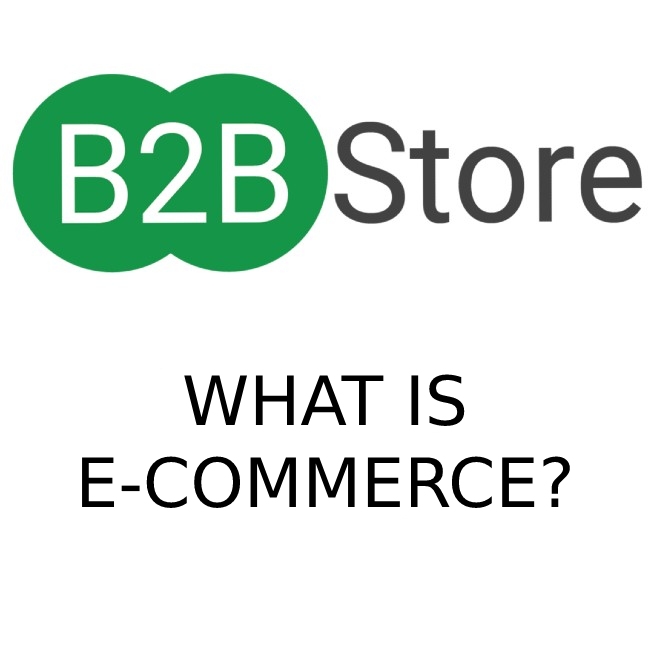 B2B Store, ecommerce, b2c, b2b, wholesale ecommerce, distributors, manufacturers, what is b2b?