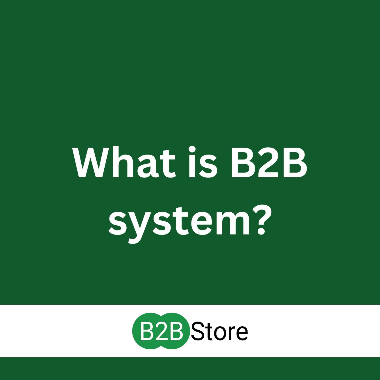 B2B Store What is B2B system?